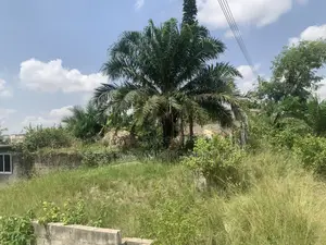 Landed Property for Sale at Sepe Dote