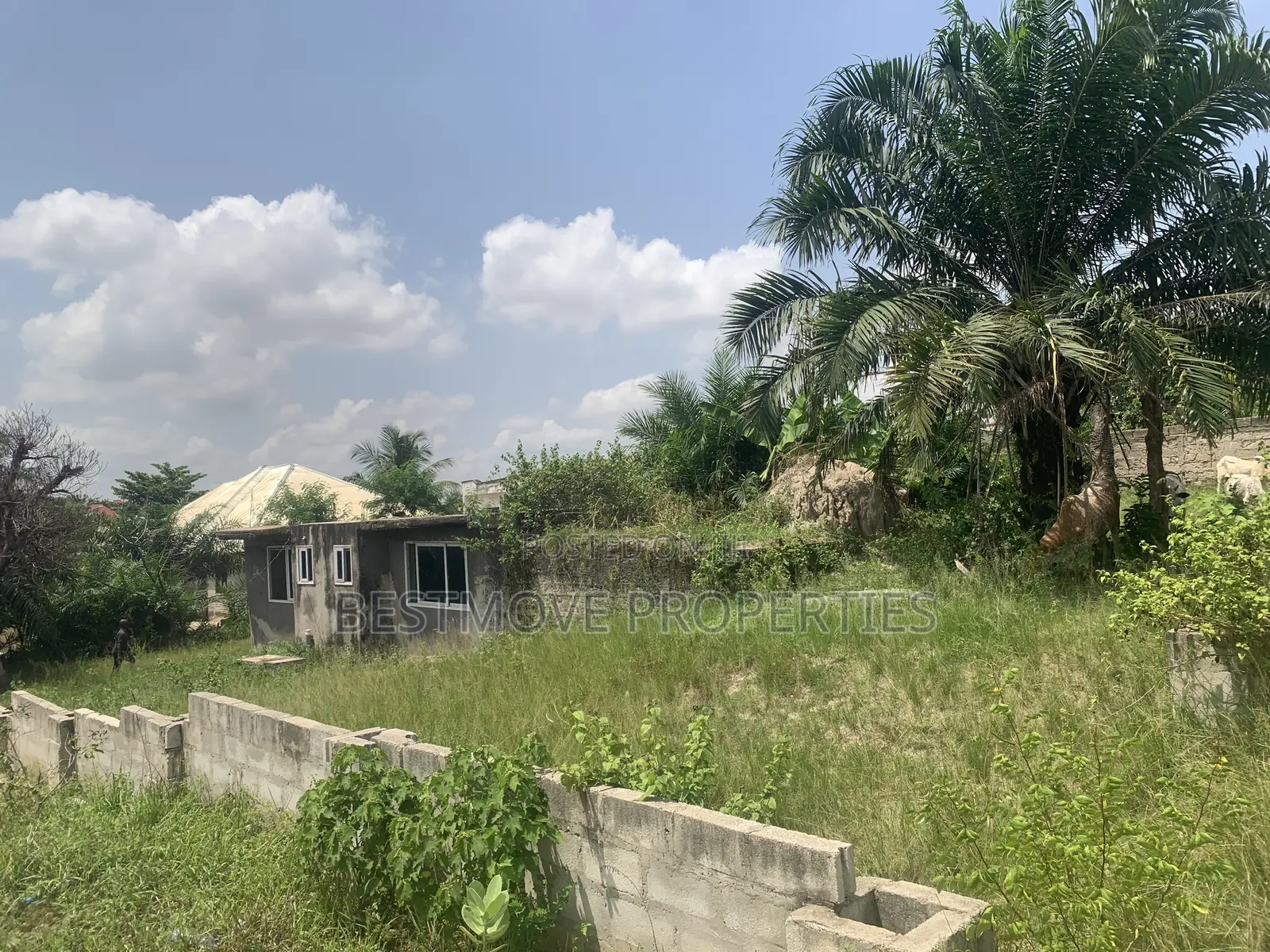 Landed Property for Sale at Sepe Dote