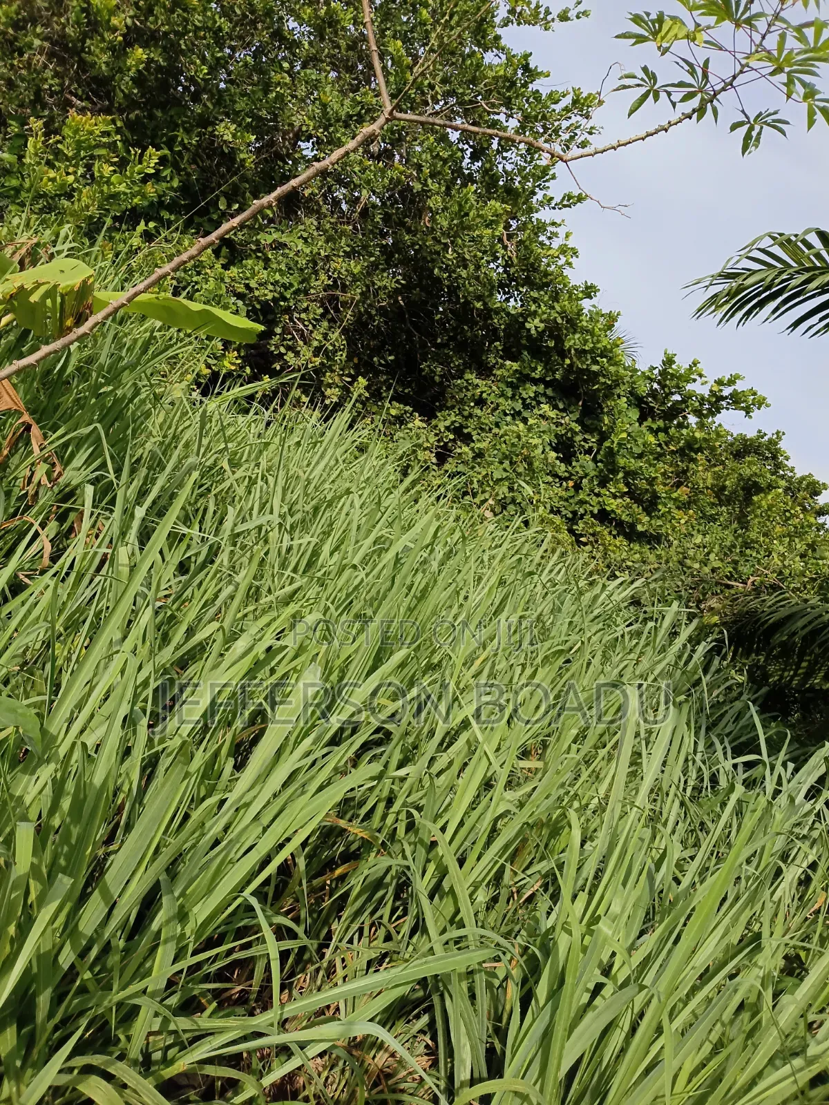 Land for Sale at Berekum- Kato