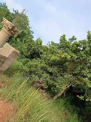 Land for Sale at Berekum- Kato