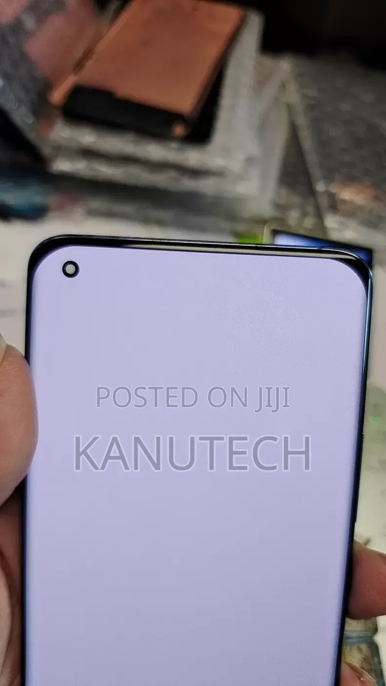 Xiaomi Mi 11 Ultra and 11 Pro Screen