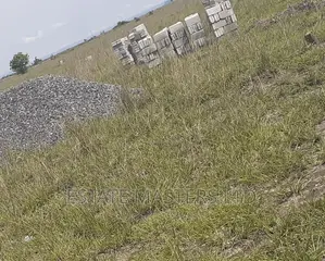 Acres of Land Free From Litigation