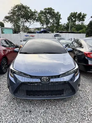 Toyota Corolla LE 2021 Gray