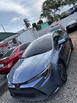 Toyota Corolla LE 2021 Gray