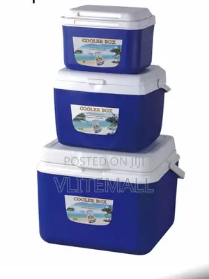 3 Ice Cooler Box