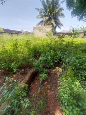 Title Full Plot of Land for Sale at Teshie Tsuibleoo