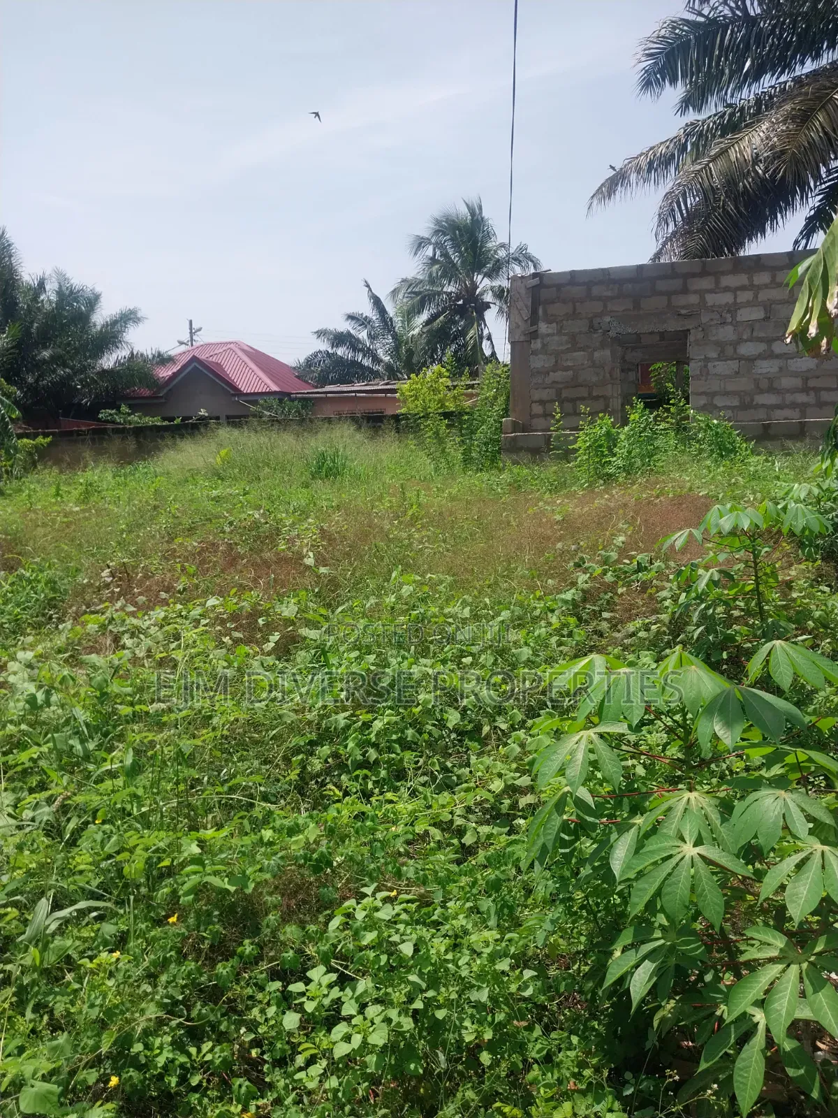 Title Full Plot of Land for Sale at Teshie Tsuibleoo