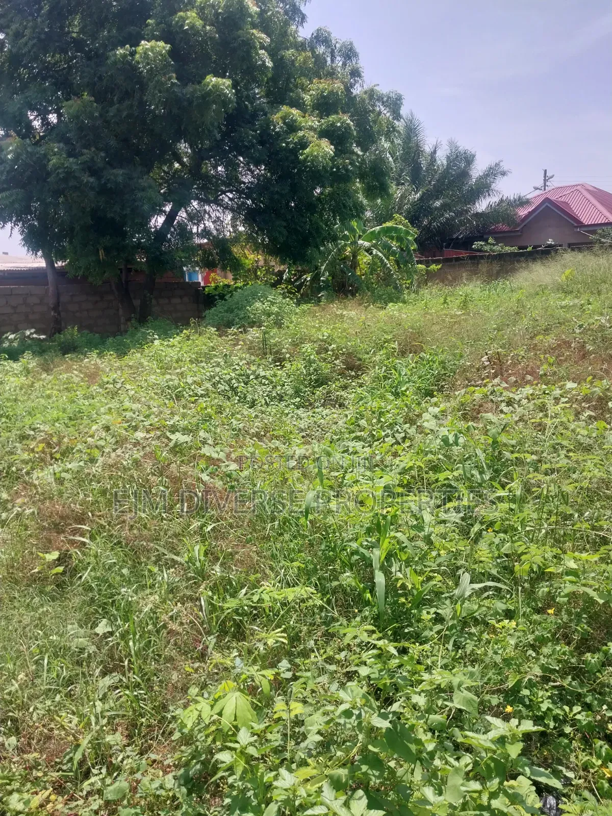 Title Full Plot of Land for Sale at Teshie Tsuibleoo