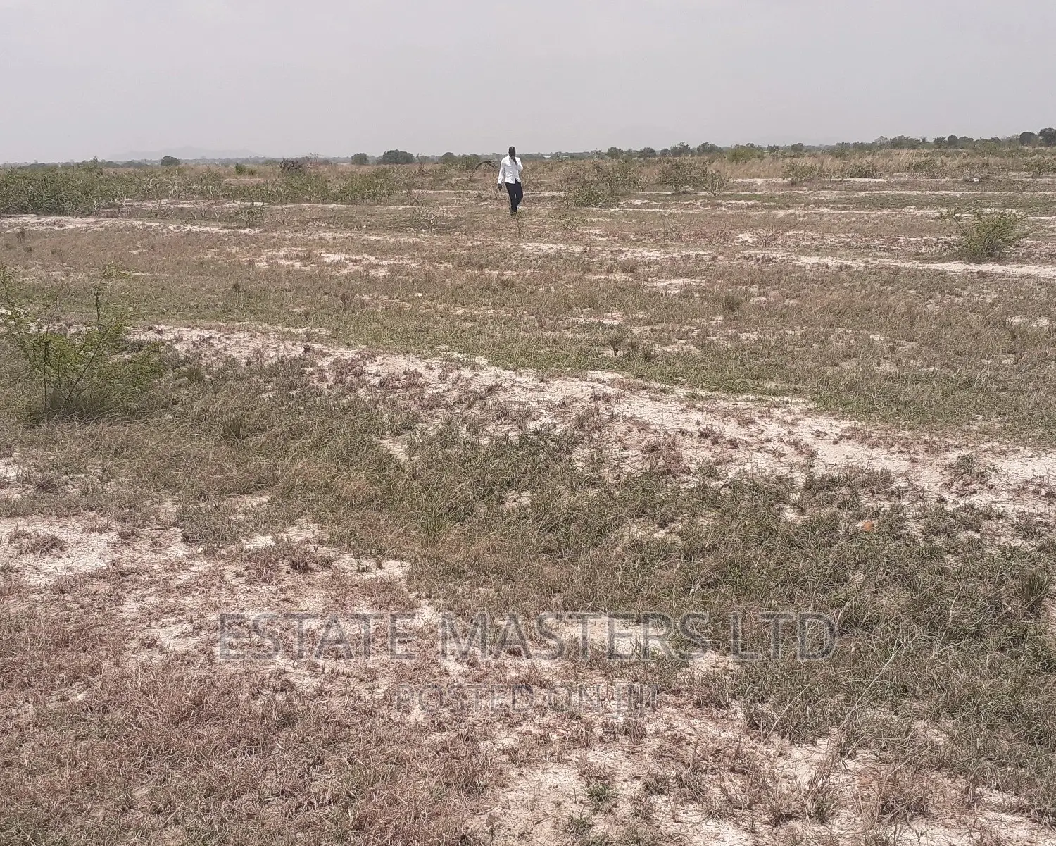 Acres of Land Free From Litigation