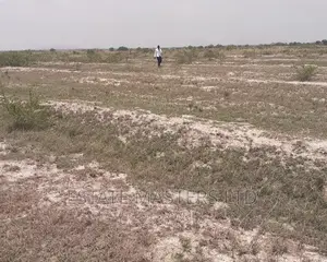 Acres of Land Free From Litigation
