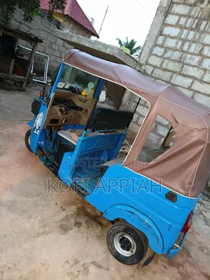 Tricycle 2025 Blue
