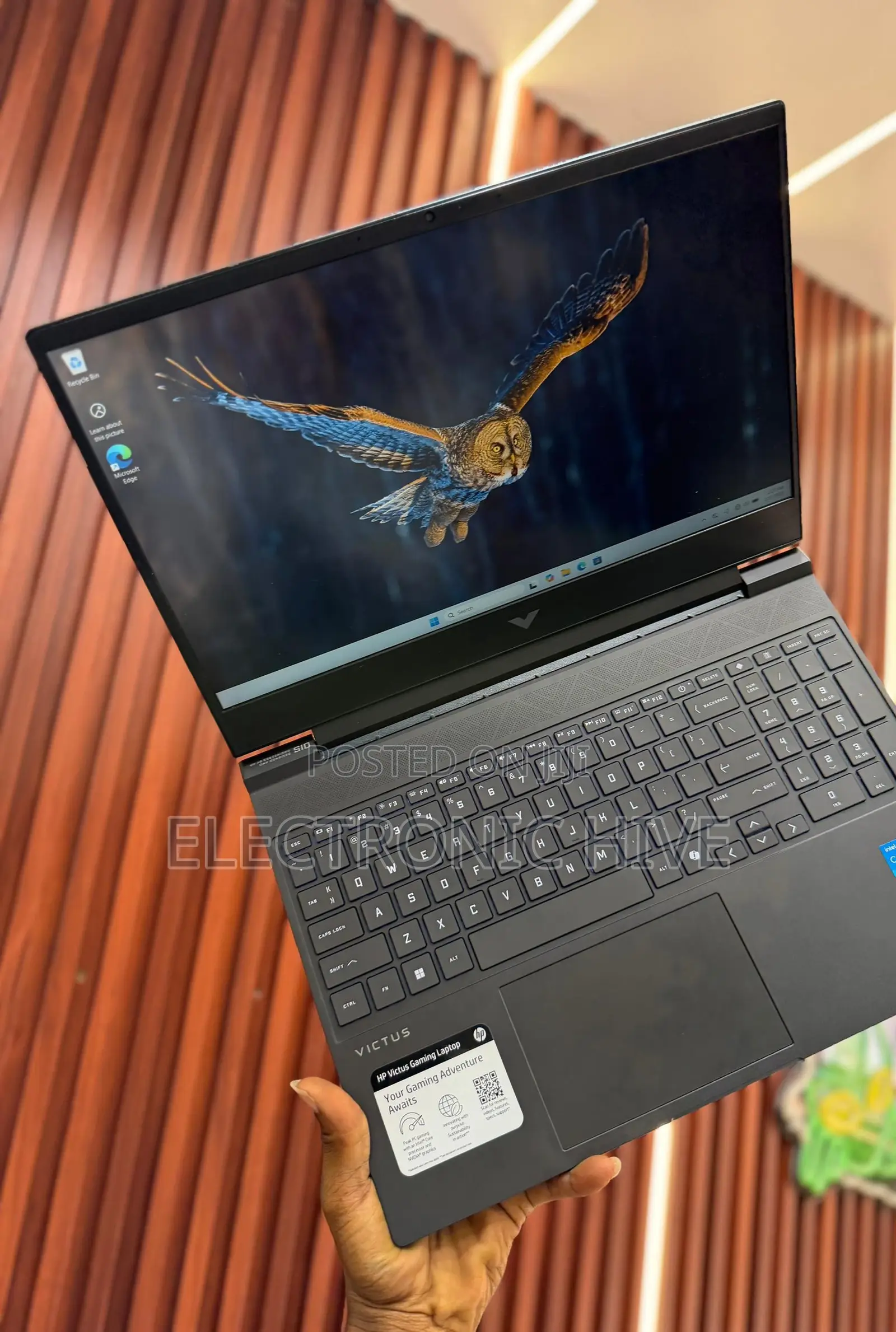 Laptop HP Victus 15 8GB AMD Ryzen 5 SSD 512GB