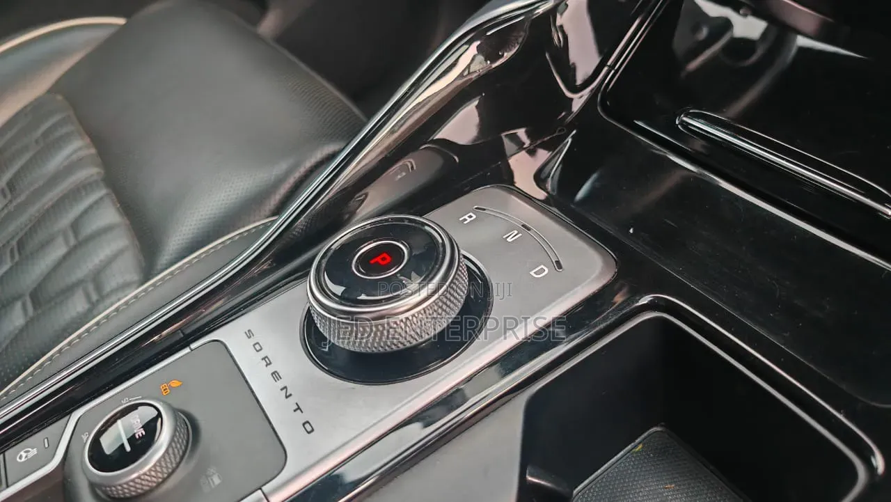 Kia Sorento 2022 Blue