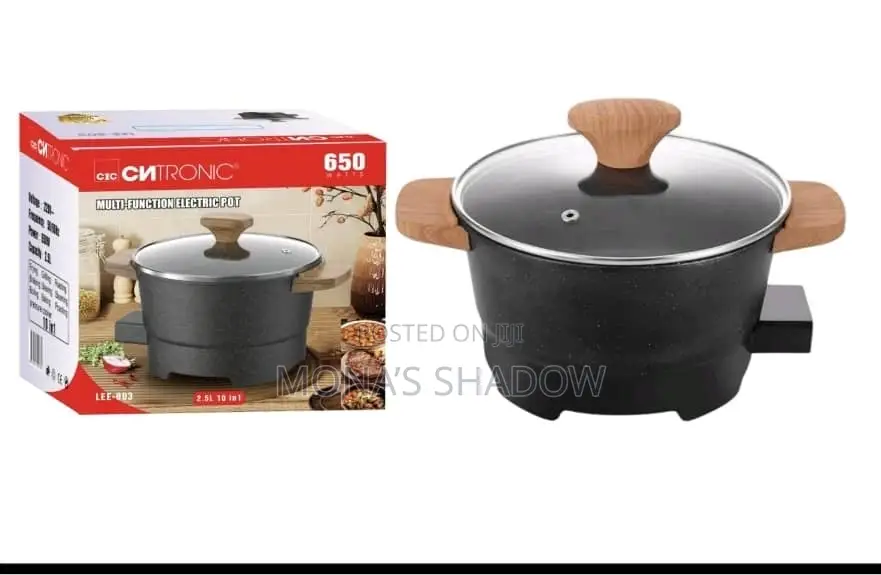 Multi Function Electric Pot