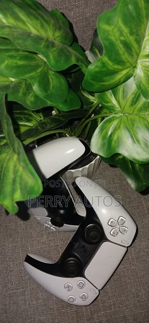 Original Two Ps5 Controllers Dual Shock