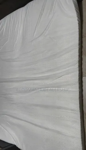 Throyal Latex Mattress