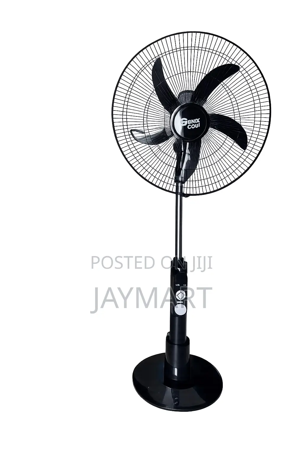 Rechargeable Standing Fan