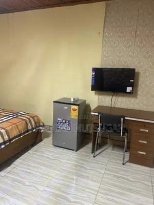 Nice Furnished Single Room Self Contain for Short Stay at Nungua Adogono