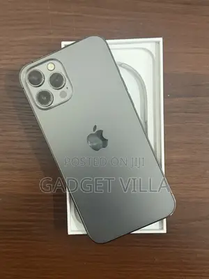 Apple iPhone 12 Pro Max 256 GB Gray