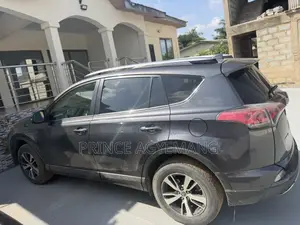 Toyota RAV4 XLE AWD (2.5L 4cyl 6A) 2017 Gray