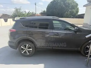 Toyota RAV4 XLE AWD (2.5L 4cyl 6A) 2017 Gray