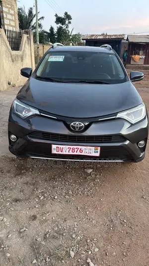 Toyota RAV4 XLE AWD (2.5L 4cyl 6A) 2017 Gray