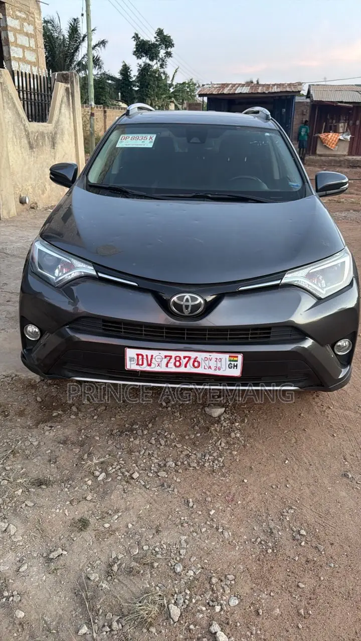Toyota RAV4 XLE AWD (2.5L 4cyl 6A) 2017 Gray