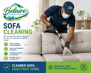 Sofa Cleaning Detailing