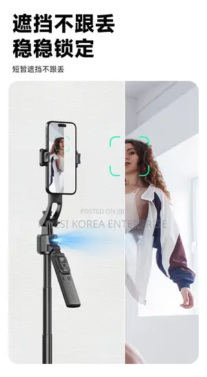 C17 Ai Qudropod Stand