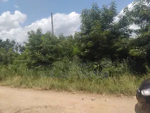 Farmland at Road Side