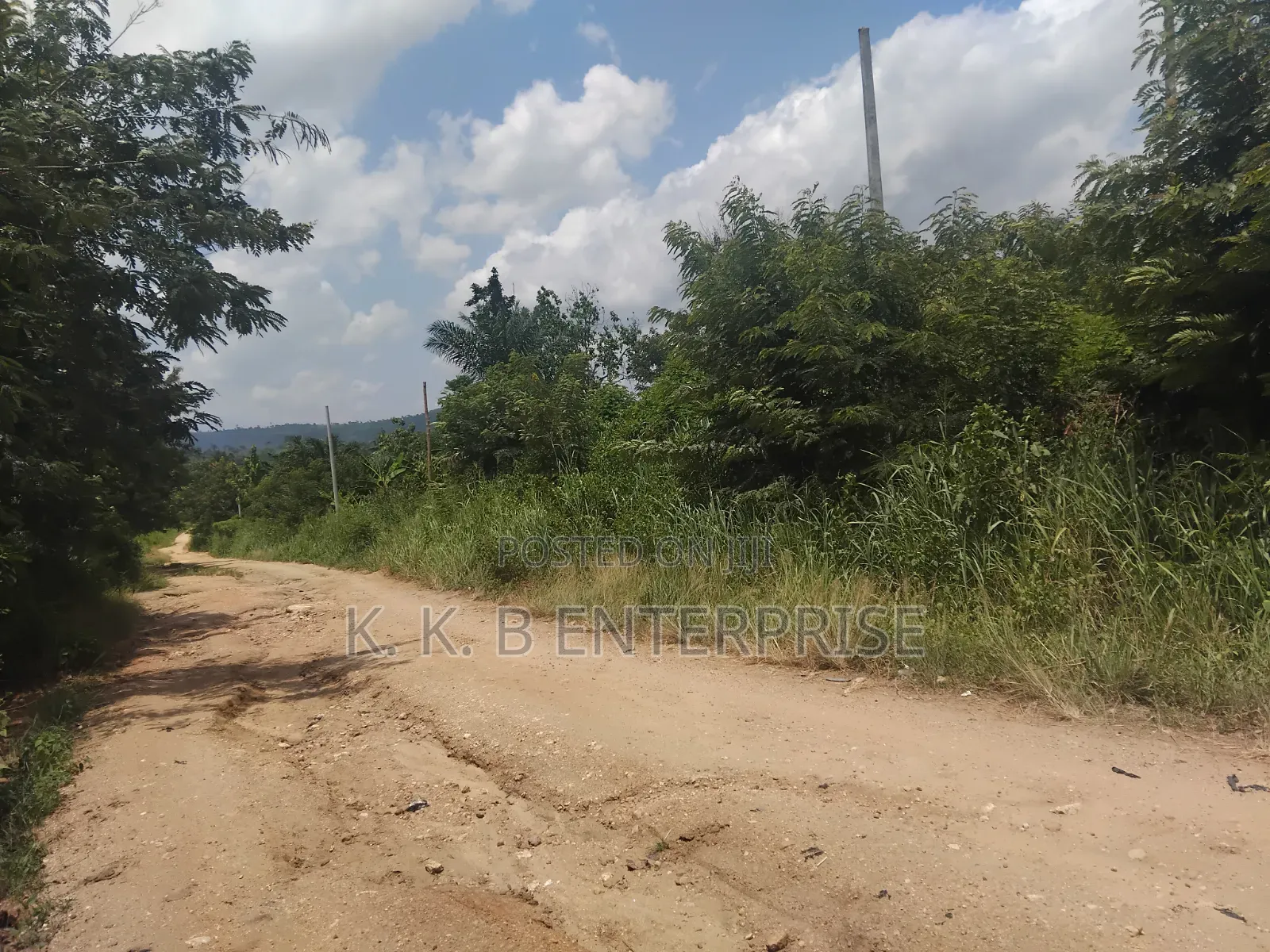 Farmland at Road Side