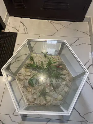 A White Center Table