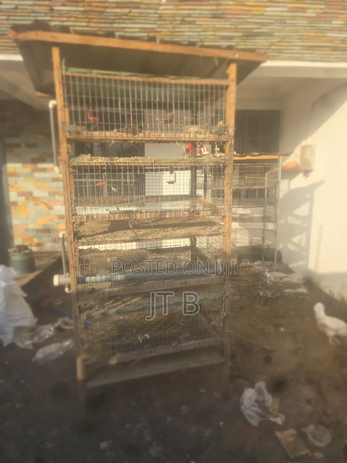 Poultry/Rabbit Cages
