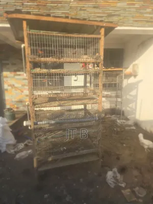 Poultry/Rabbit Cages