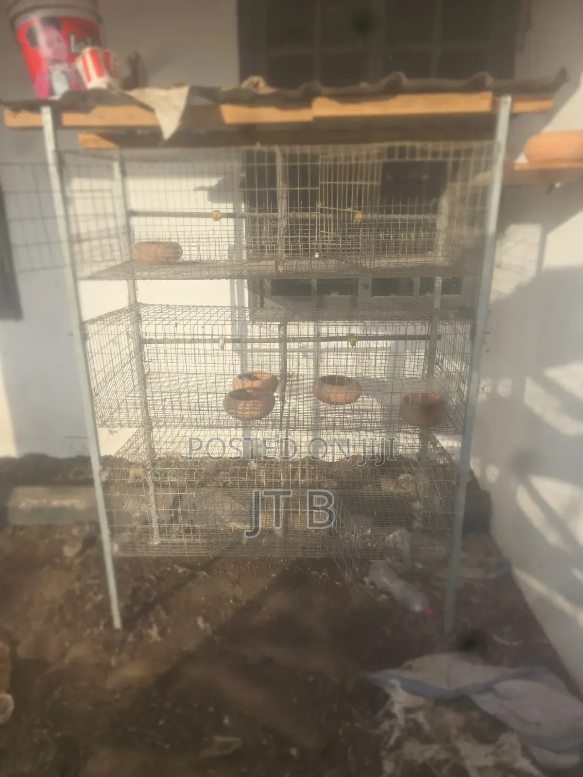 Poultry/Rabbit Cages