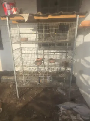 Poultry/Rabbit Cages