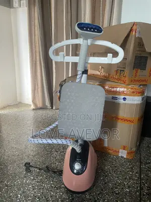 Steam Iron