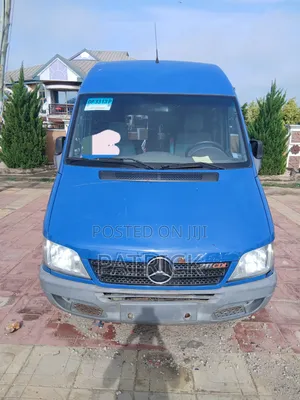 Mercedes-Benz Sprinter 2009 Blue