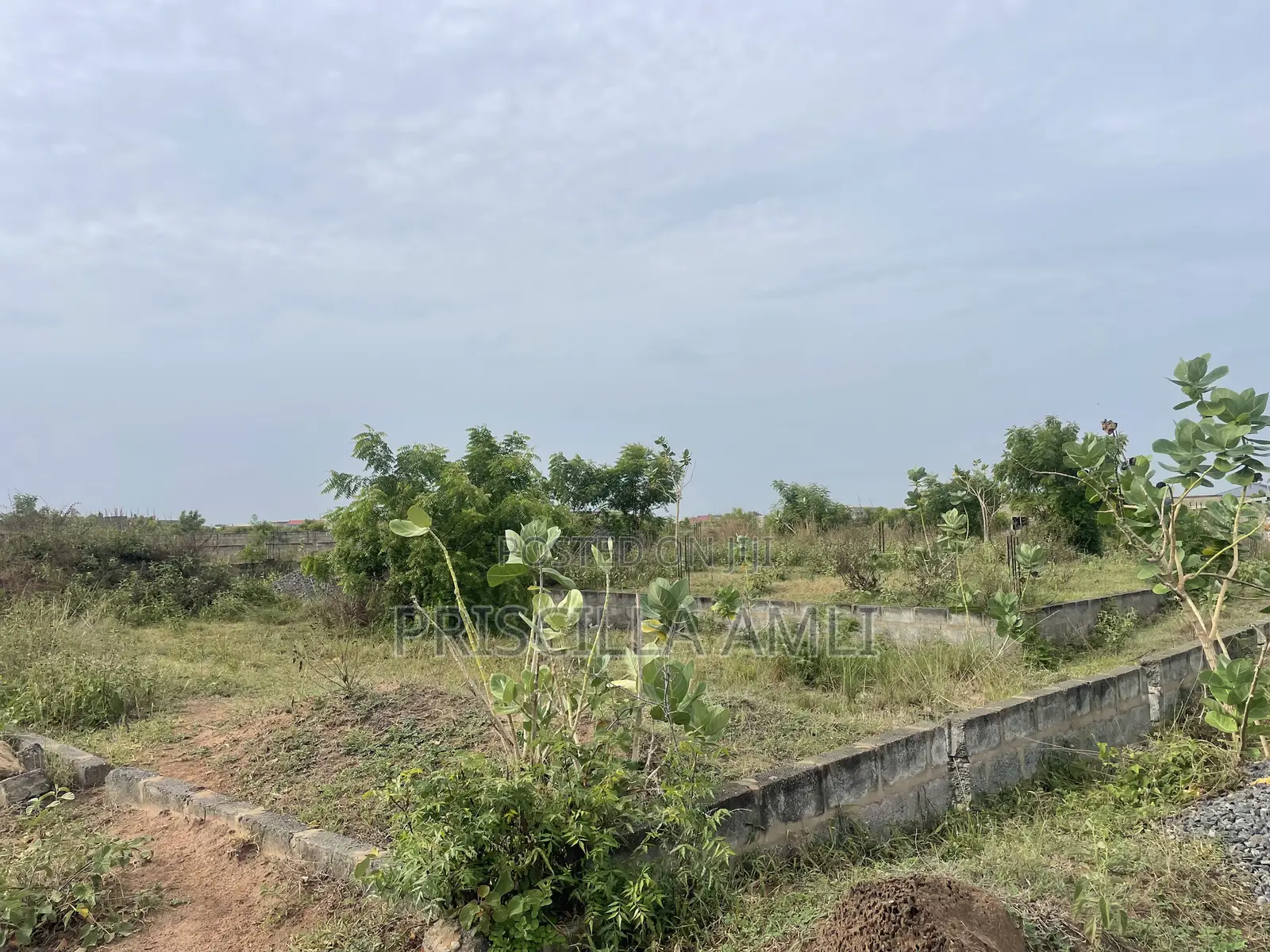 1 Plot of Land