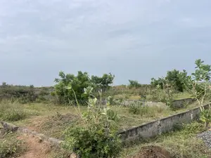 1 Plot of Land