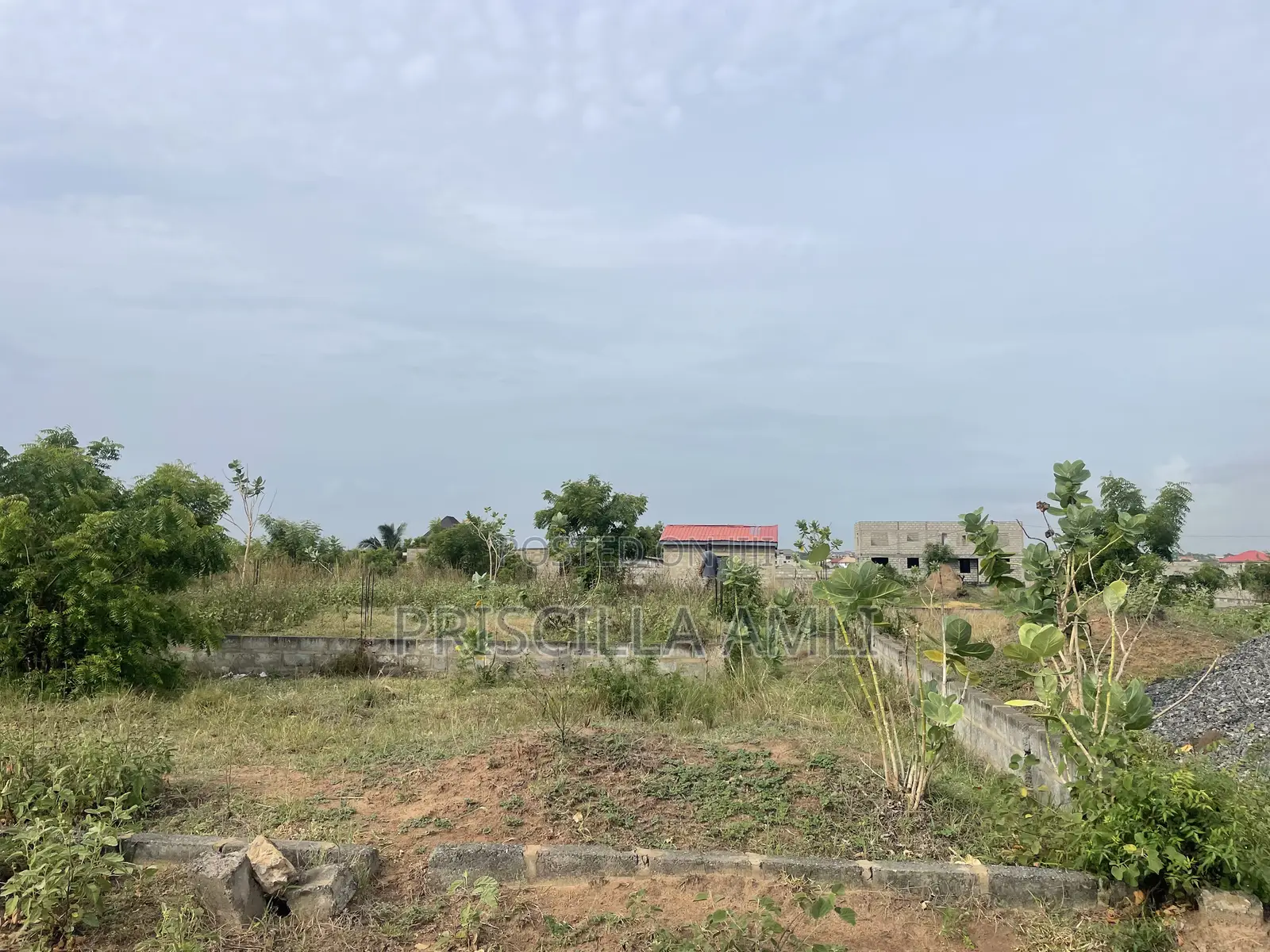 1 Plot of Land