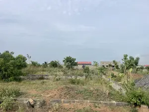 1 Plot of Land