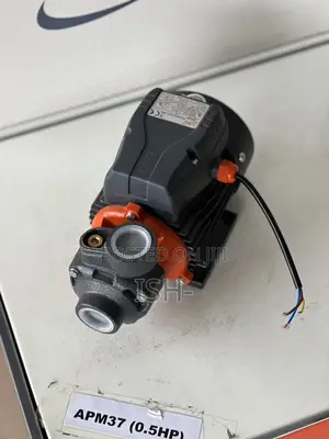 Leo 0.5hp Water Pump