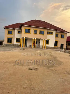 Professional Painters
