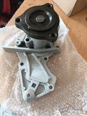 Ford Fusion/Escape Water Pump