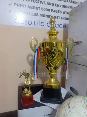 Fifa World Cup Trophy Replica