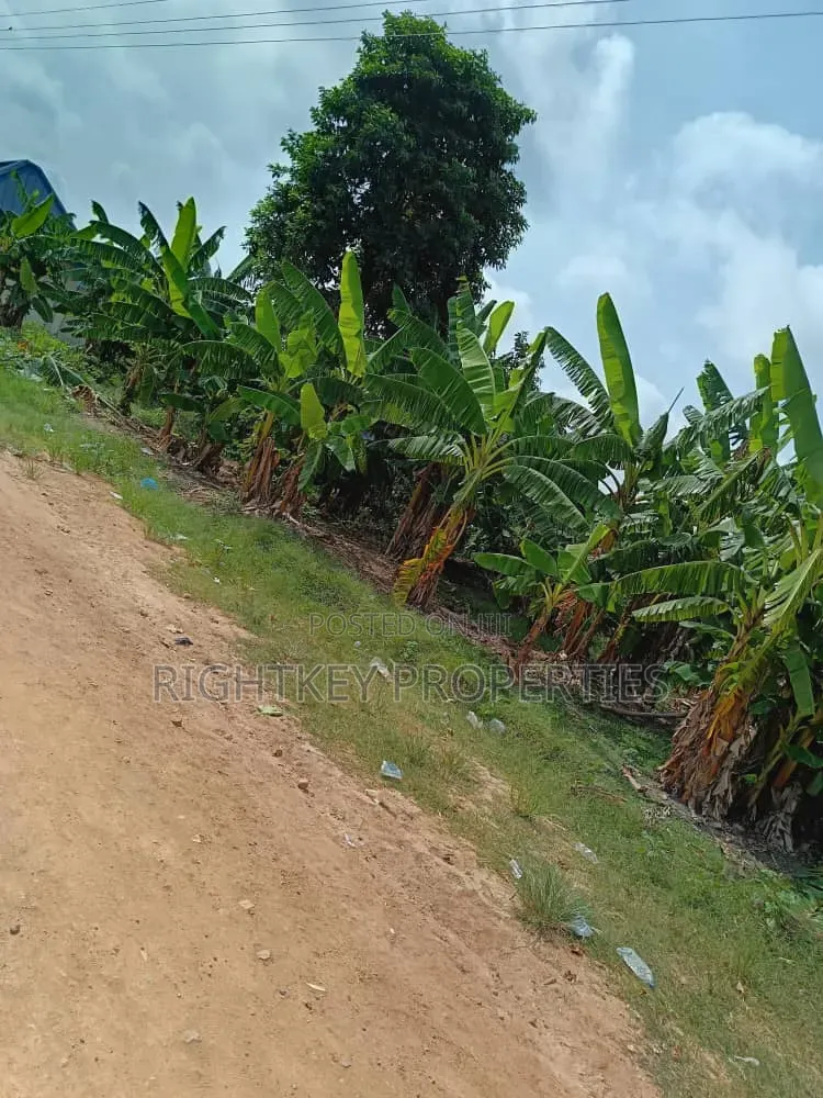 Plot of Land at Asokore Mampong