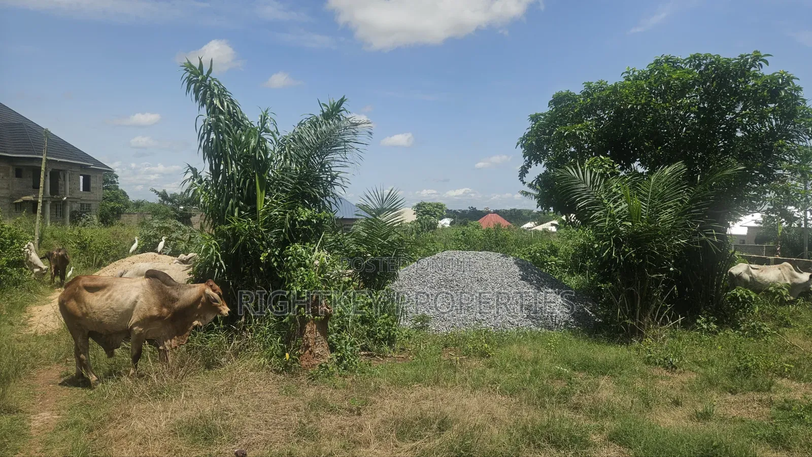Plot of Land at Ejisu Ampaame