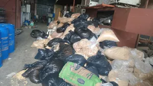 Biscuits Waste