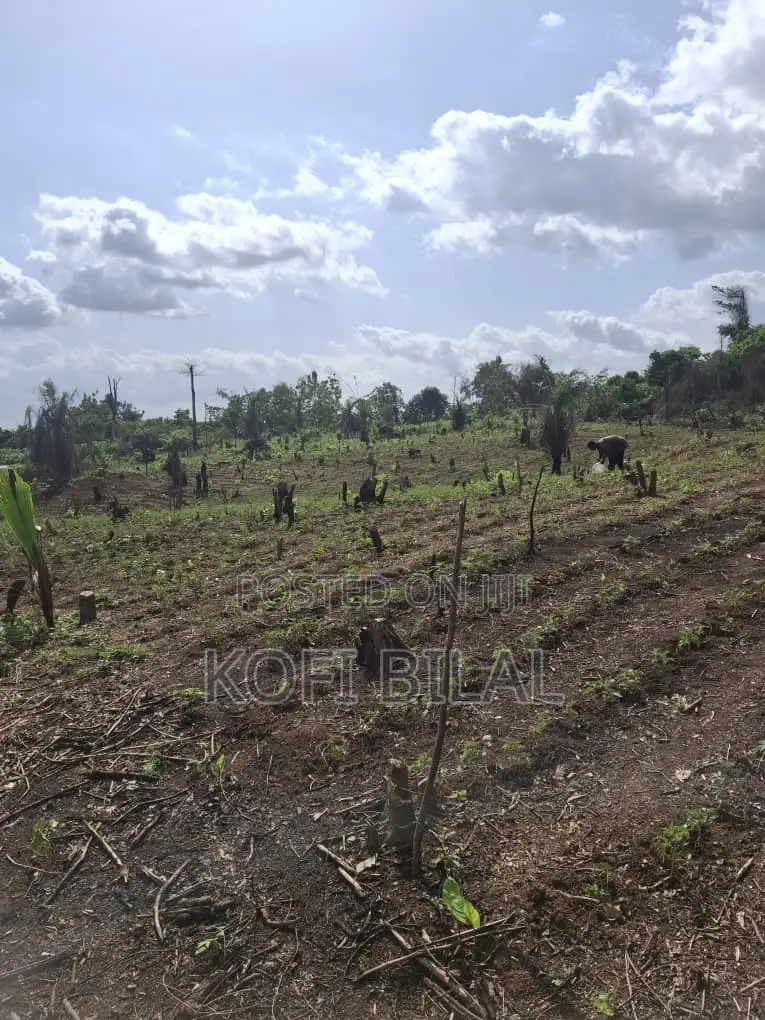 Land at Dida